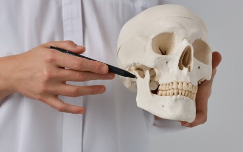 Intraoralinės minkštųjų audinių technikos, 4 val.